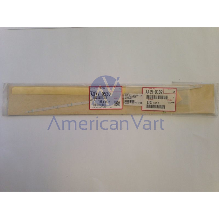 Sello Limpieza A0779530 Ricoh Original FT3013