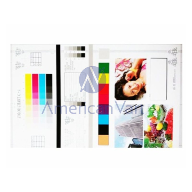 Color Test Chart A0929503 Ricoh Original C2800
