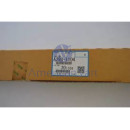 Filtro Ozono A2931104 Ricoh Original 551 700 1050