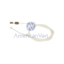 Termistor Presión AW100154 Ricoh Original C4503 C5503 C6003