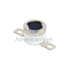 Termostato AW110059 Ricoh Original C2000 C2500 C3000