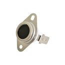 Termostato 219C AW110099 Ricoh Original 4000 4001 5000 5001