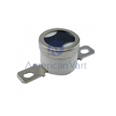 Termostato AW110101 Ricoh Original