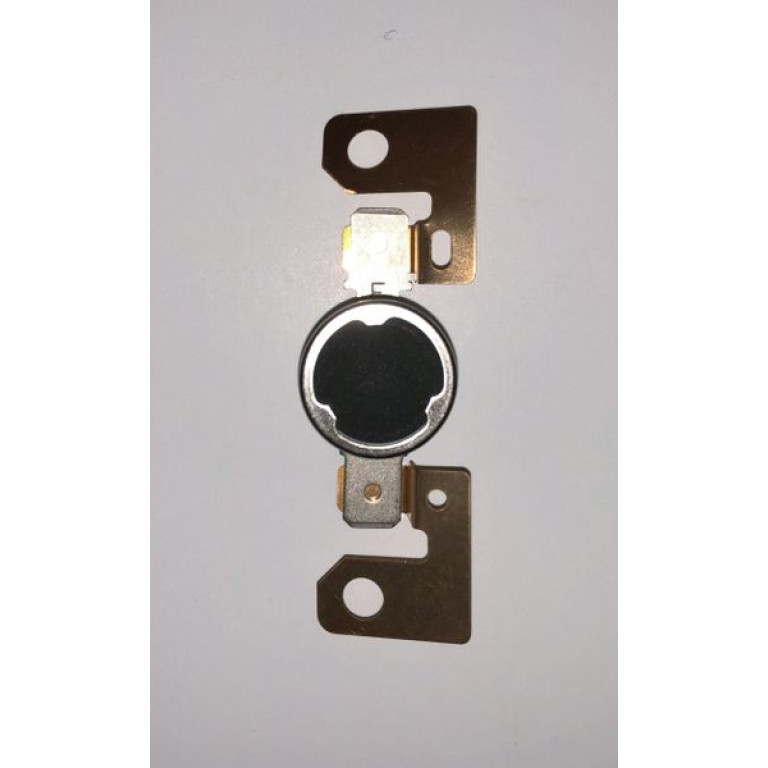 Termostato B1214120 Ricoh Original MP 2500