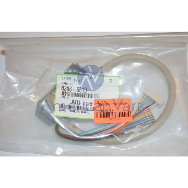 Arnes B3865810 Ricoh Original