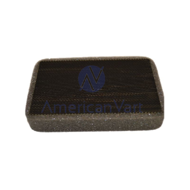 Filtro Ozono D0621234 Ricoh Original 6001