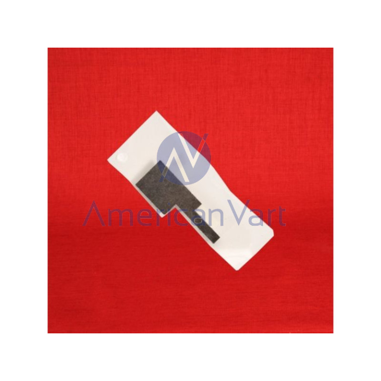 Sello Revelador Rodillo Frontal D0743343 Ricoh Original C751