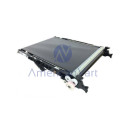 Unidad Transferencia D1176002 Ricoh Original C305