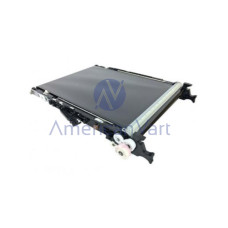 Unidad Transferencia D1176002 Ricoh Original C305