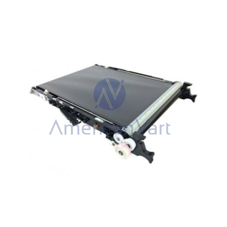 Unidad Transferencia D1176002 Ricoh Original C305