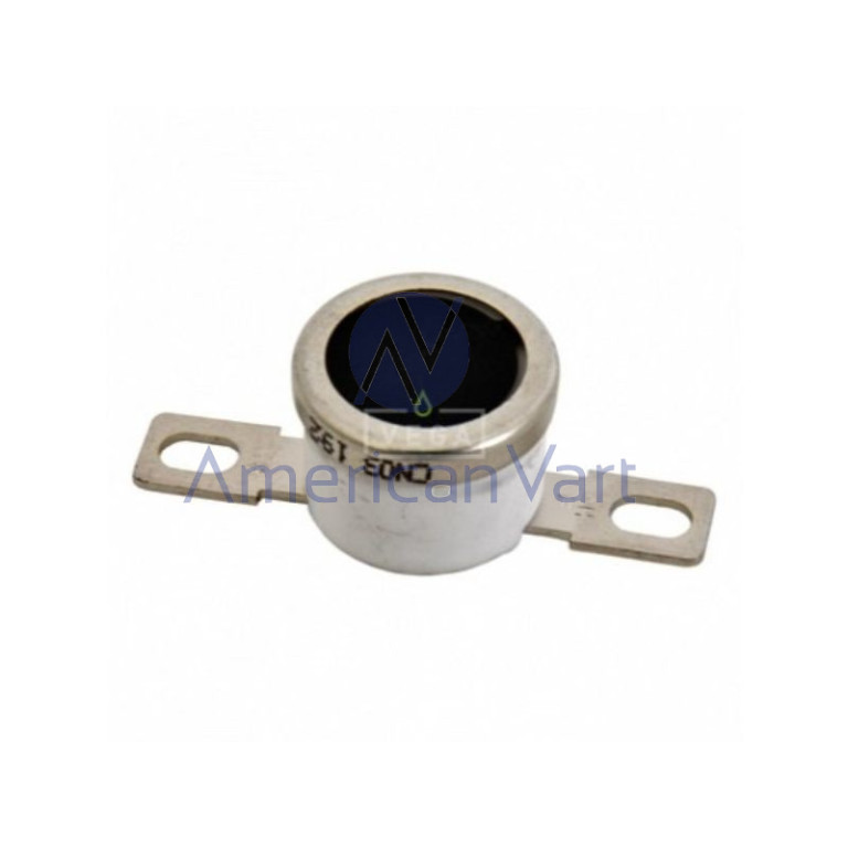 Termostato D1584120 Ricoh Original 2001