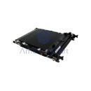 Unidad Transferencia D1966002 Ricoh Original C306